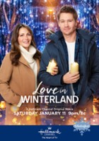 plakat filmu Love in Winterland