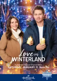 Plakat filmu Love in Winterland
