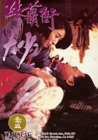 Plakat filmu Bo Lan jie da shao