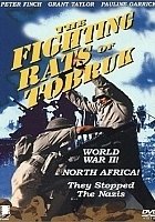plakat filmu Szczury Tobruku