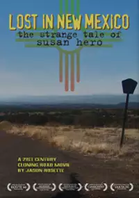 Plakat filmu Susan Hero