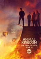 plakat - Królestwo zwierząt (2016)