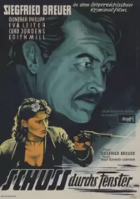 Plakat filmu Der Schu&szlig; durchs Fenster