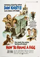 plakat filmu How to Frame a Figg