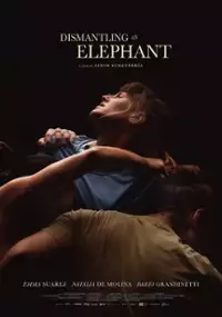 Plakat filmu Desmontando un elefante