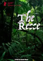 Daniel Mann / The Recce