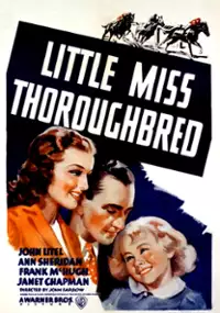 Plakat filmu Little Miss Thoroughbred