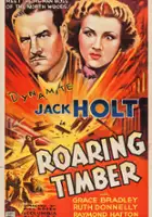 plakat filmu Roaring Timber