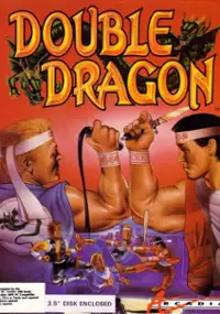 Plakat gry Double Dragon