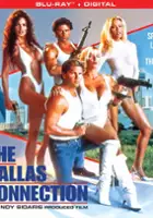 plakat filmu The Dallas Connection