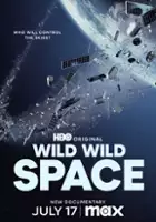 plakat filmu Bardzo dziki kosmos