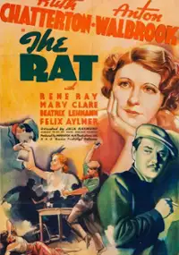 Plakat filmu The Rat