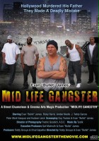 plakat filmu Mid Life Gangster