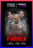 plakat filmu Furioza