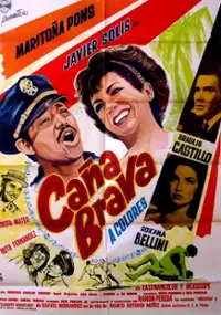 Plakat filmu Caña brava