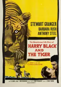 Plakat filmu Harry Black