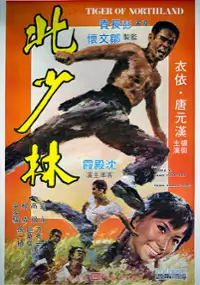 Plakat filmu Bei Shao lin