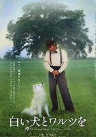 plakat filmu Spotkać białego psa