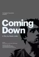 Marie Lid&eacute;n / Coming Down