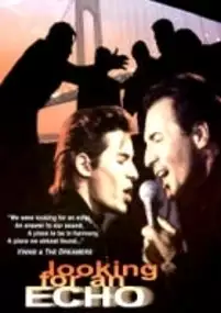 Plakat filmu W poszukiwaniu echa