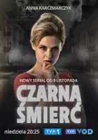 Iwona Ejsmund / $webTool.doNotEscapeHTMLSafe($film.getTitleByLocaleOrOriginalTitle($rc.locale))