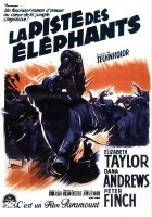 plakat filmu Ścieżka słoni