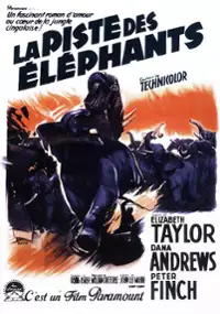 Plakat filmu Ścieżka słoni