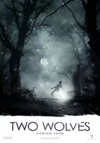 Plakat filmu Two Wolves