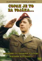 Pavel Hajn&yacute; / C&oacute;ż to za wojak?