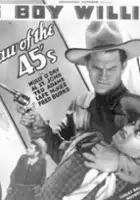 plakat filmu The Law of 45's