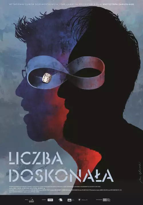 plakat filmu Liczba doskonała