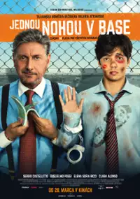 Plakat filmu Il tuttofare