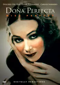Plakat filmu Do&ntilde;a Perfecta