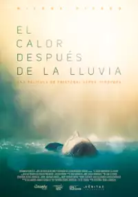 Plakat filmu El Calor Después de la Lluvia