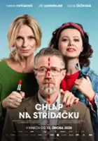 plakat filmu Chlap na střídačku