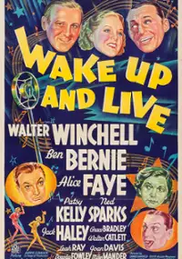 Plakat filmu Wake Up and Live
