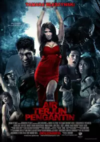 Plakat filmu Air terjun pengantin
