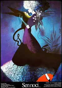 Plakat filmu Sen noci...