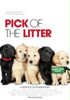 plakat filmu Pick of the Litter