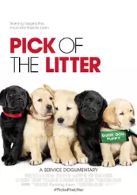 Plakat filmu Pick of the Litter