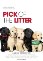 plakat filmu Pick of the Litter