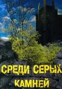 Plakat filmu Wśród szarych kamieni