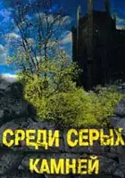 plakat filmu Wśród szarych kamieni