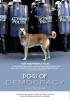 Psy Demokracji