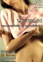 plakat filmu Nam Tan Daeng