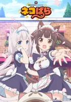 plakat serialu Nekopara