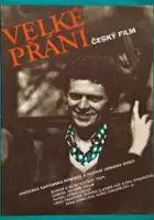 plakat filmu Velké přání