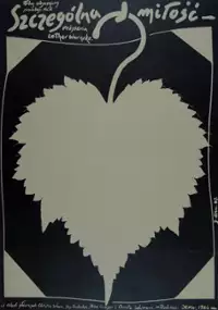 Plakat filmu Szczególna miłość