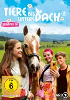 plakat - Tiere bis unters Dach (2009)