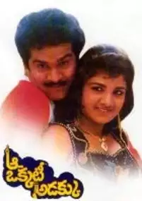 Plakat filmu Aa Okkati Adakku